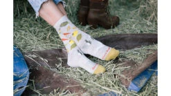 Darn Tough Farmer's Market Crew Lightweight Lifestyle Socks - Women's -Darn Tough Outlet Store opplanet darn tough farmers market crew lightweight lifestyle sock womens ash small 6054 ash s darn av 1