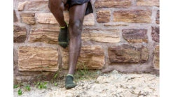 Darn Tough Run No Show Tab Ultra-Lightweight Running Socks - Men's -Darn Tough Outlet Store opplanet darn tough run no show tab ultra lightweight w cushion running sock mens fatigue extra large 1039 fatigue xl darn av 1