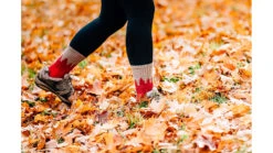 Darn Tough Treeline Micro Crew Midweight Hiking Socks - Women's -Darn Tough Outlet Store opplanet darn tough treeline micro crew midweight hiking sock womens cranberry small 1971 cranberry s darn av 1